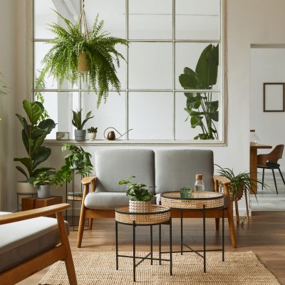 Aménagement & Déco